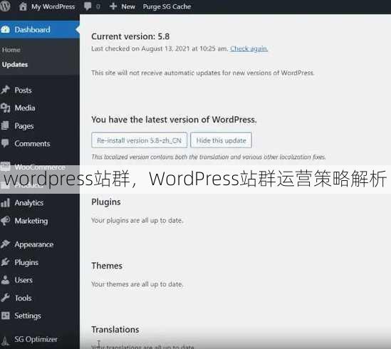 wordpress站群