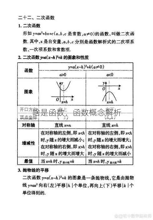 啥是函数