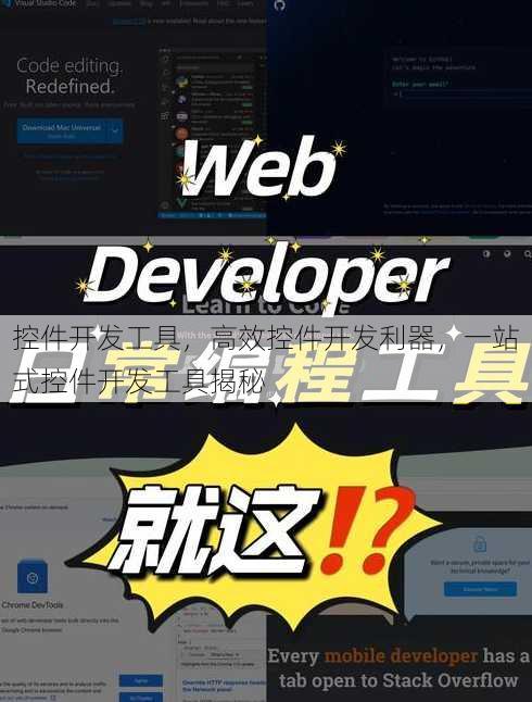 控件开发工具