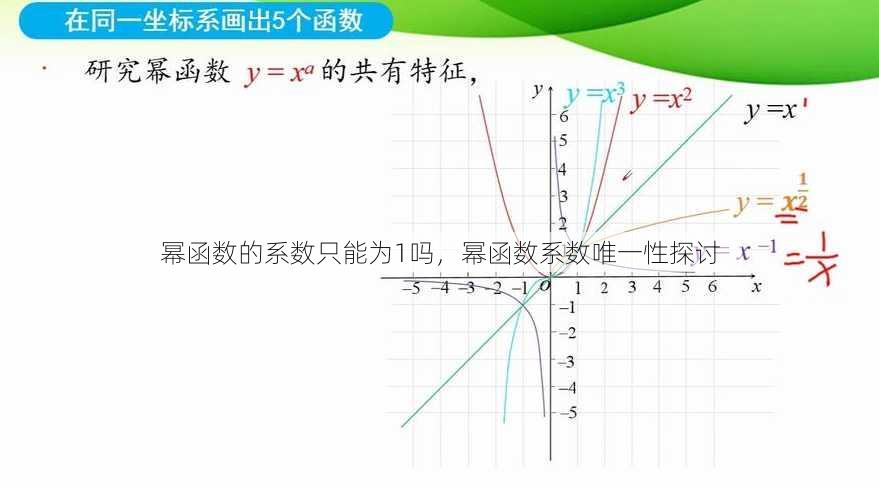 幂函数的系数只能为1吗