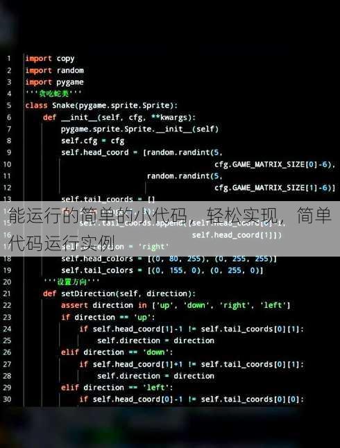 能运行的简单的小代码