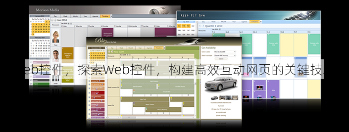 web控件