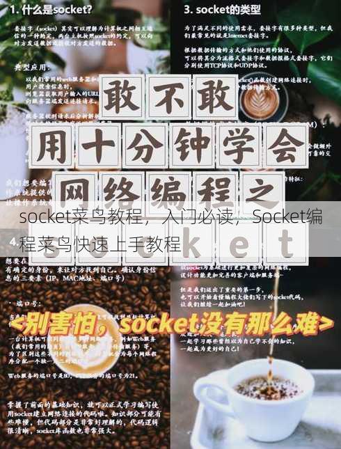 socket菜鸟教程
