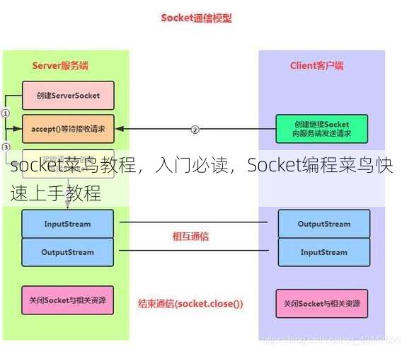 socket菜鸟教程