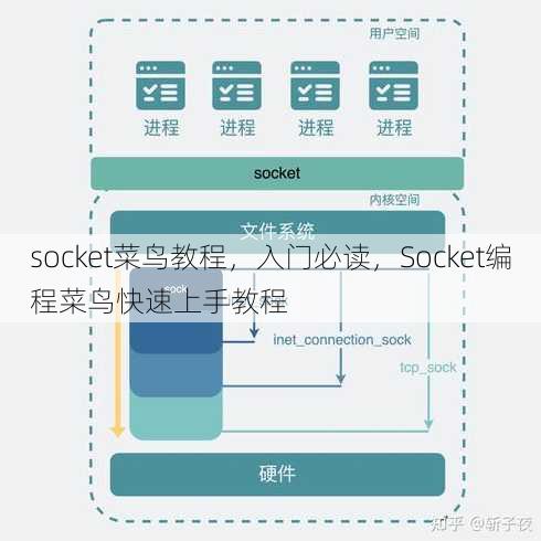 socket菜鸟教程