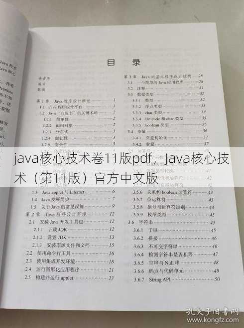 java核心技术卷11版pdf