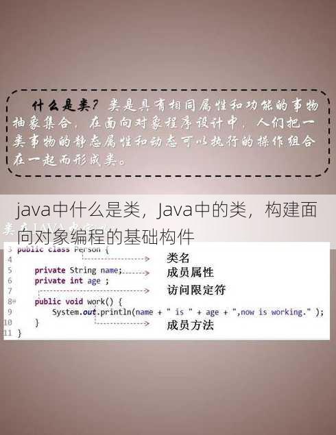 java中什么是类