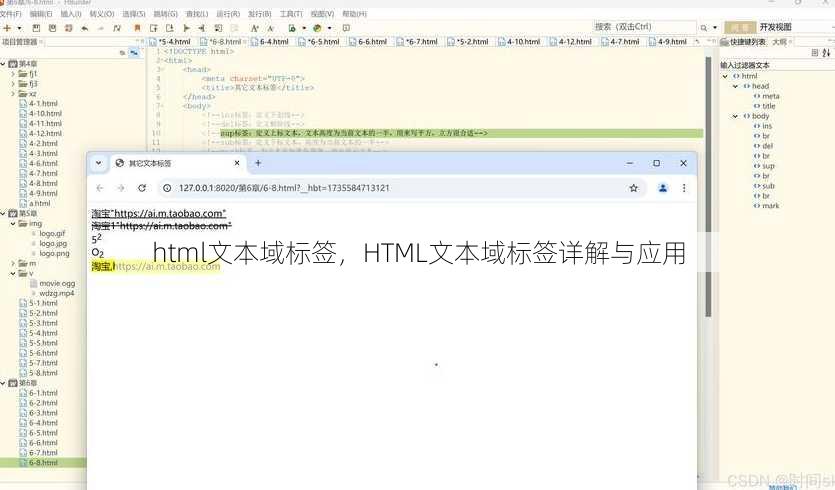 html文本域标签