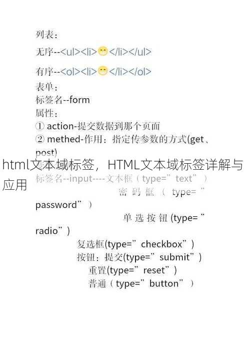 html文本域标签