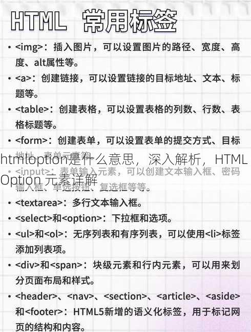 htmloption是什么意思
