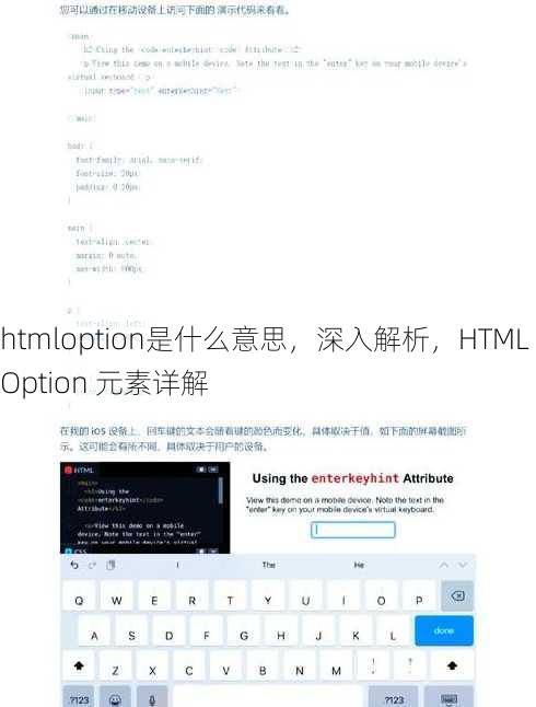 htmloption是什么意思