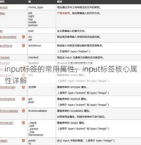 input标签的常用属性