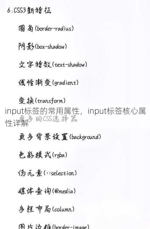 input标签的常用属性