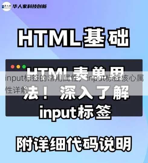 input标签的常用属性