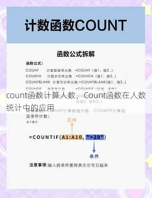 count函数计算人数