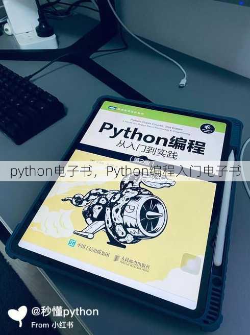python电子书