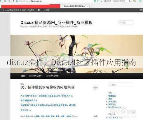 discuz插件
