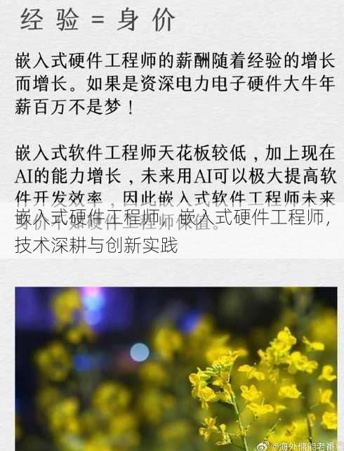 嵌入式硬件工程师