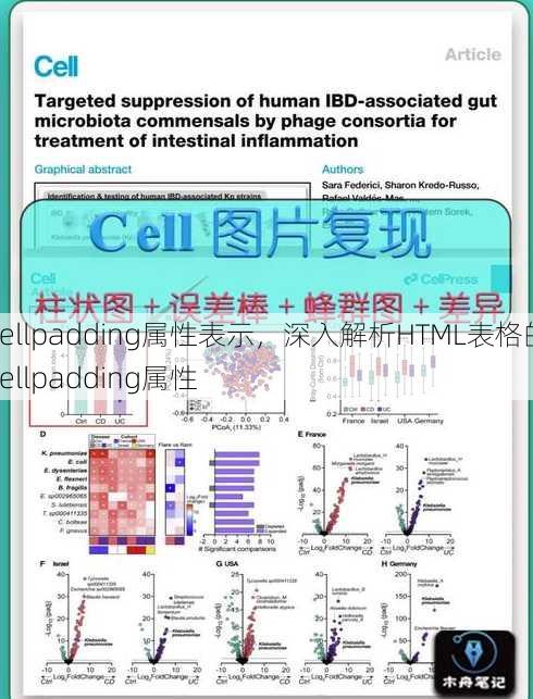 cellpadding属性表示