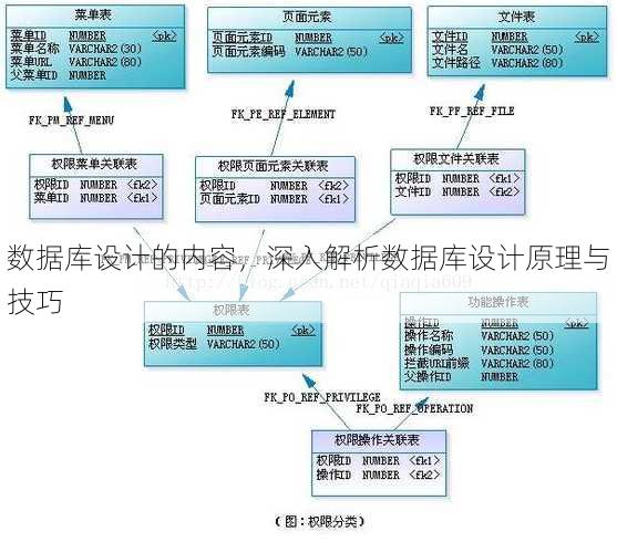 数据库设计的内容