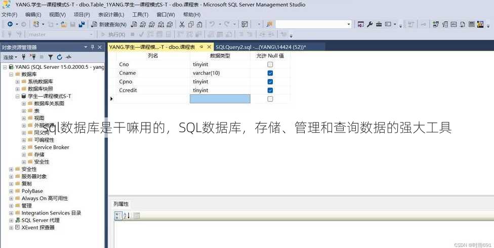 sql数据库是干嘛用的