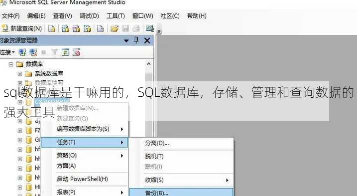 sql数据库是干嘛用的