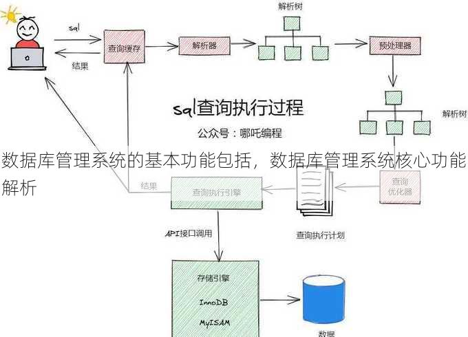 数据库管理系统的基本功能包括