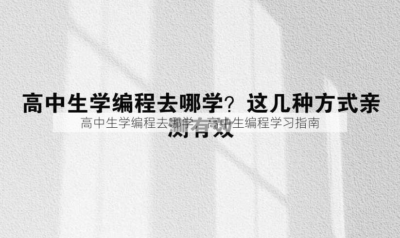高中生学编程去哪学