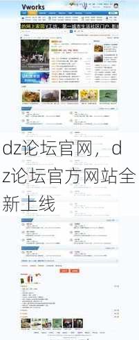 dz论坛官网