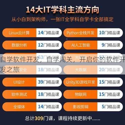 自学软件开发