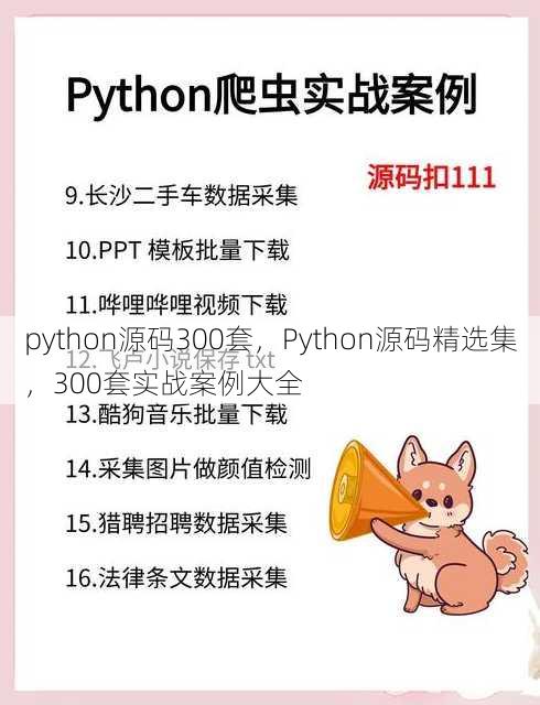 python源码300套