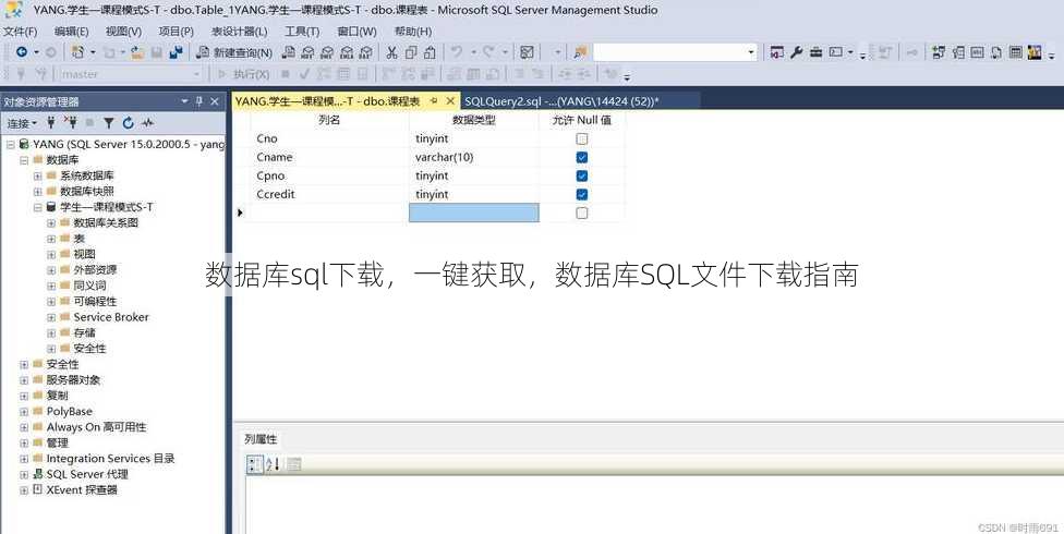 数据库sql下载