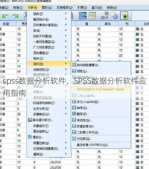 spss数据分析软件