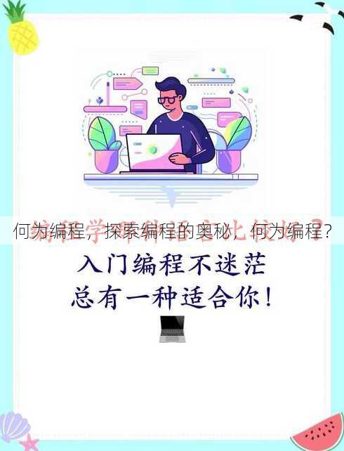 何为编程