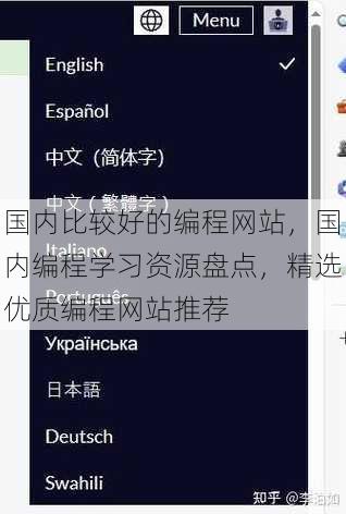 国内比较好的编程网站