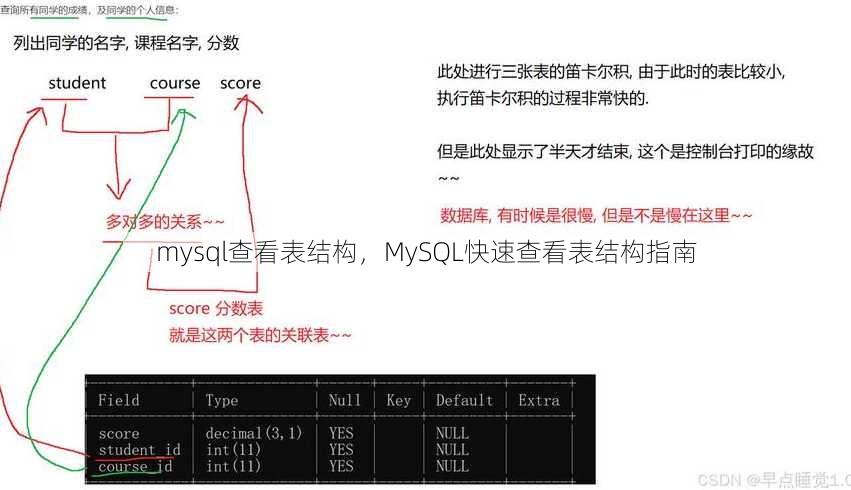 mysql查看表结构