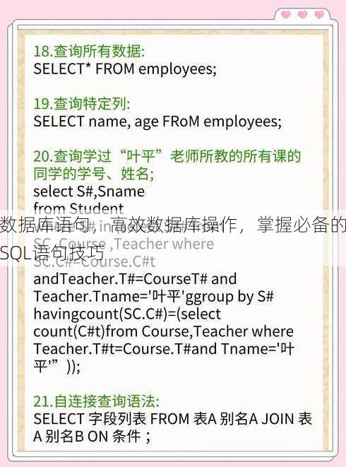 数据库语句