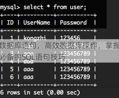数据库语句