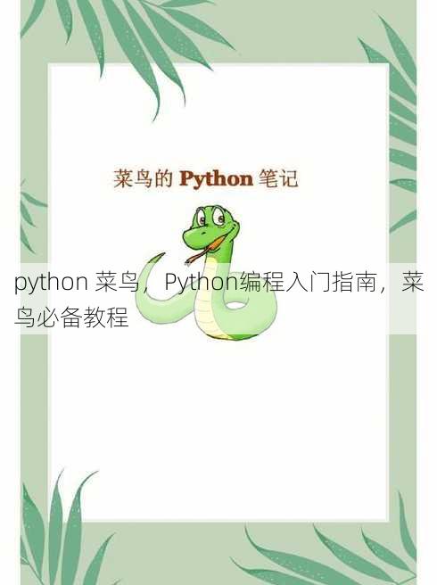 python 菜鸟
