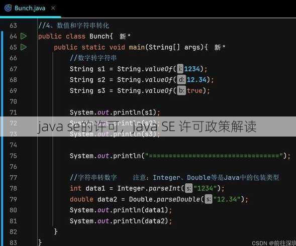 java se的许可