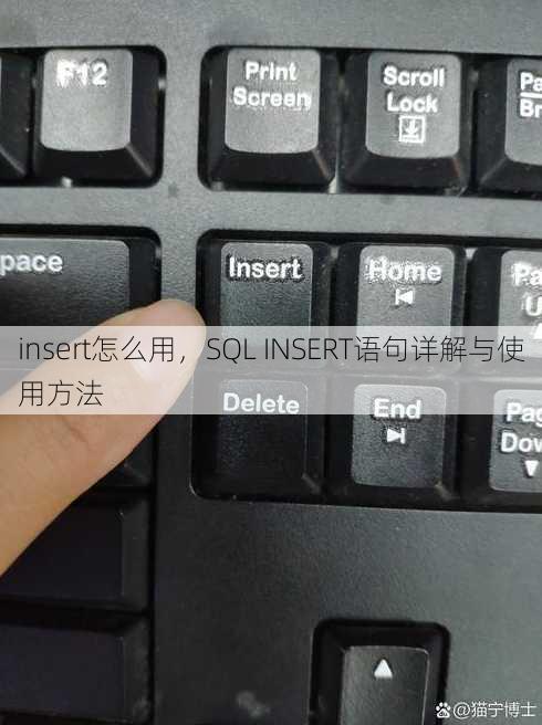 insert怎么用
