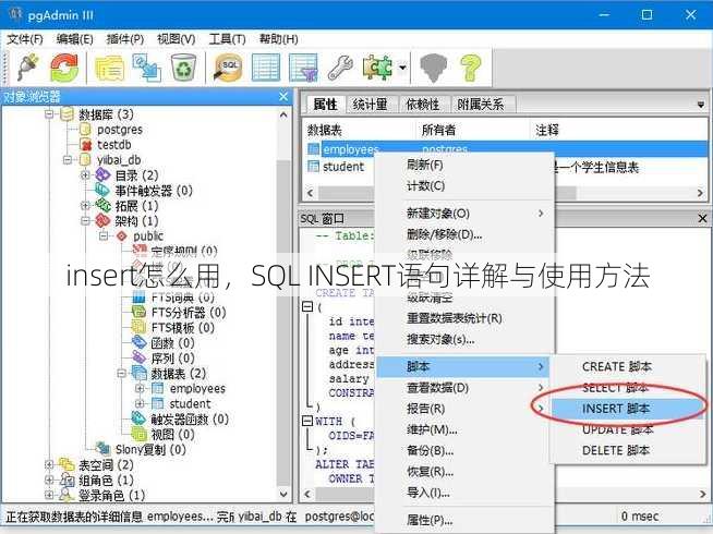 insert怎么用