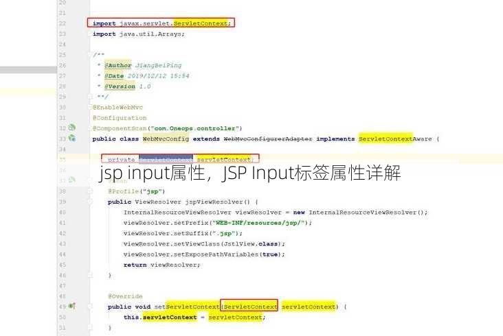 jsp input属性