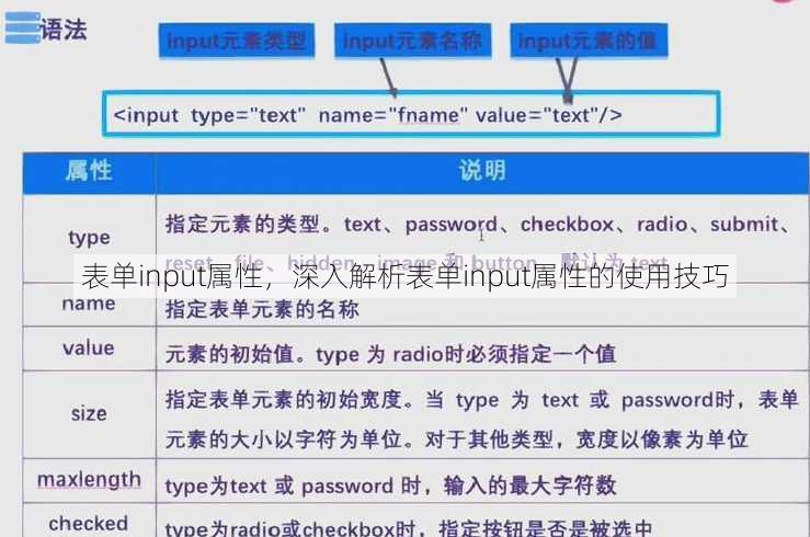 表单input属性