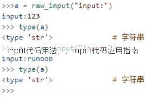 input代码用法