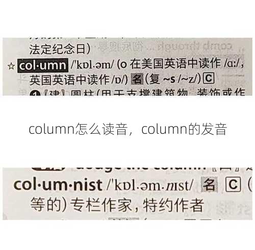 column怎么读音
