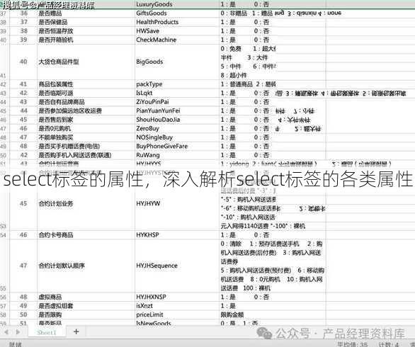 select标签的属性
