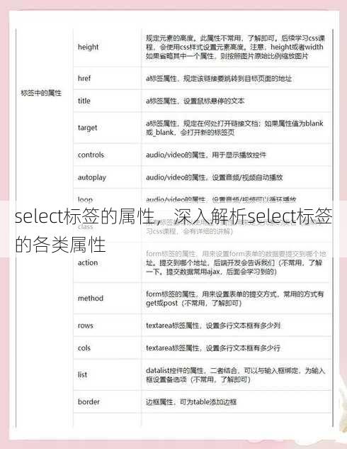 select标签的属性