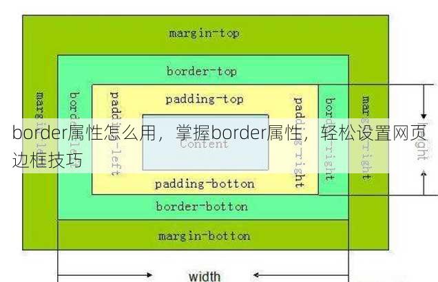 border属性怎么用