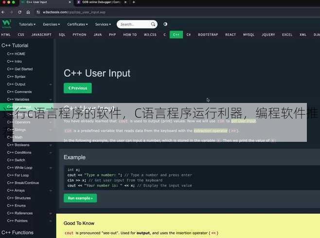 运行c语言程序的软件